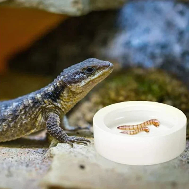 Anti escape feeder bowl for mealworms and insects