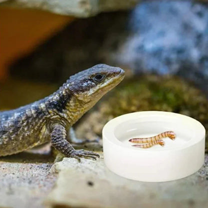 Anti escape feeder bowl for mealworms and insects