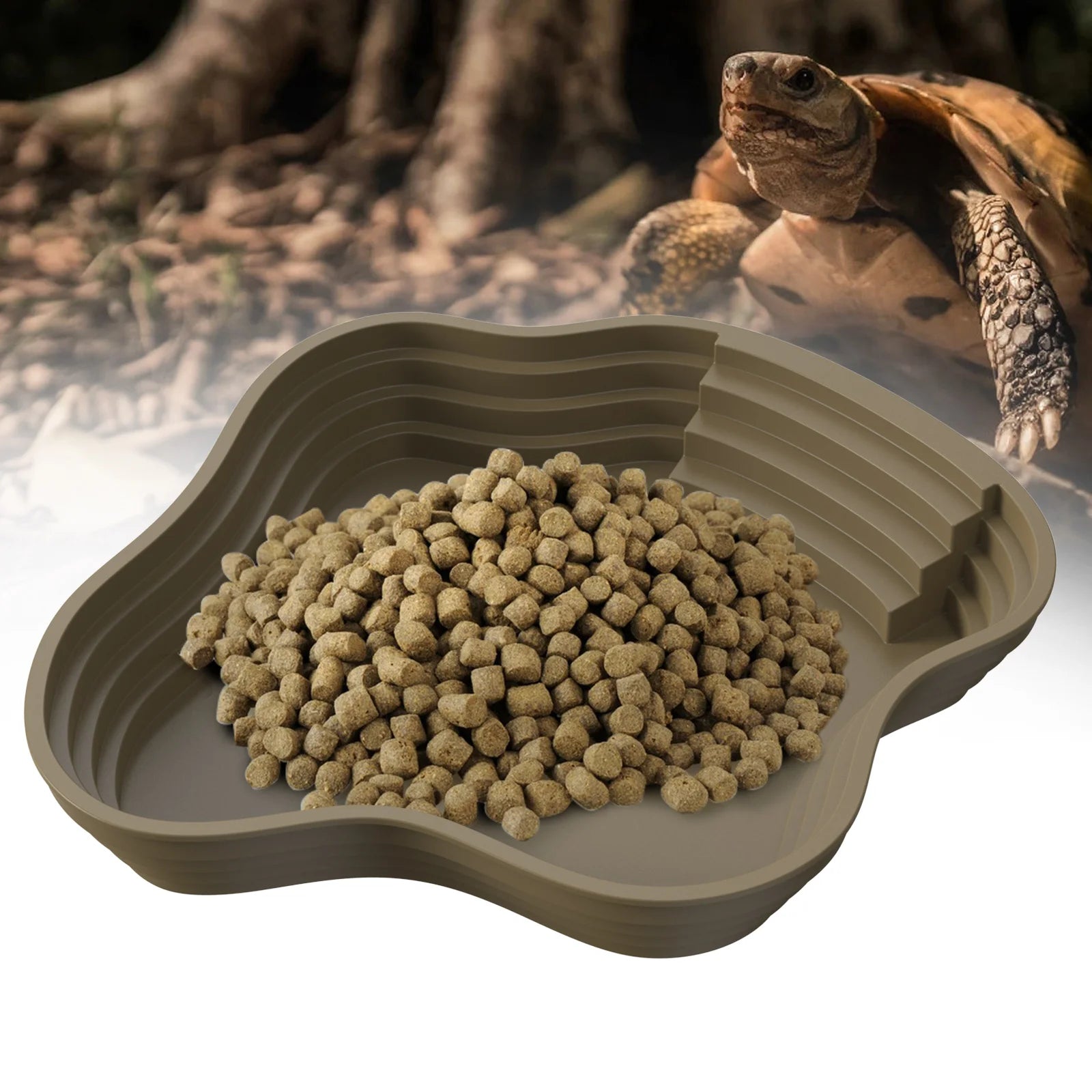 Reptile water bowl for daily hydration