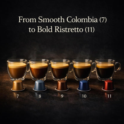 Premium coffee pods delivering rich aroma and smooth crema