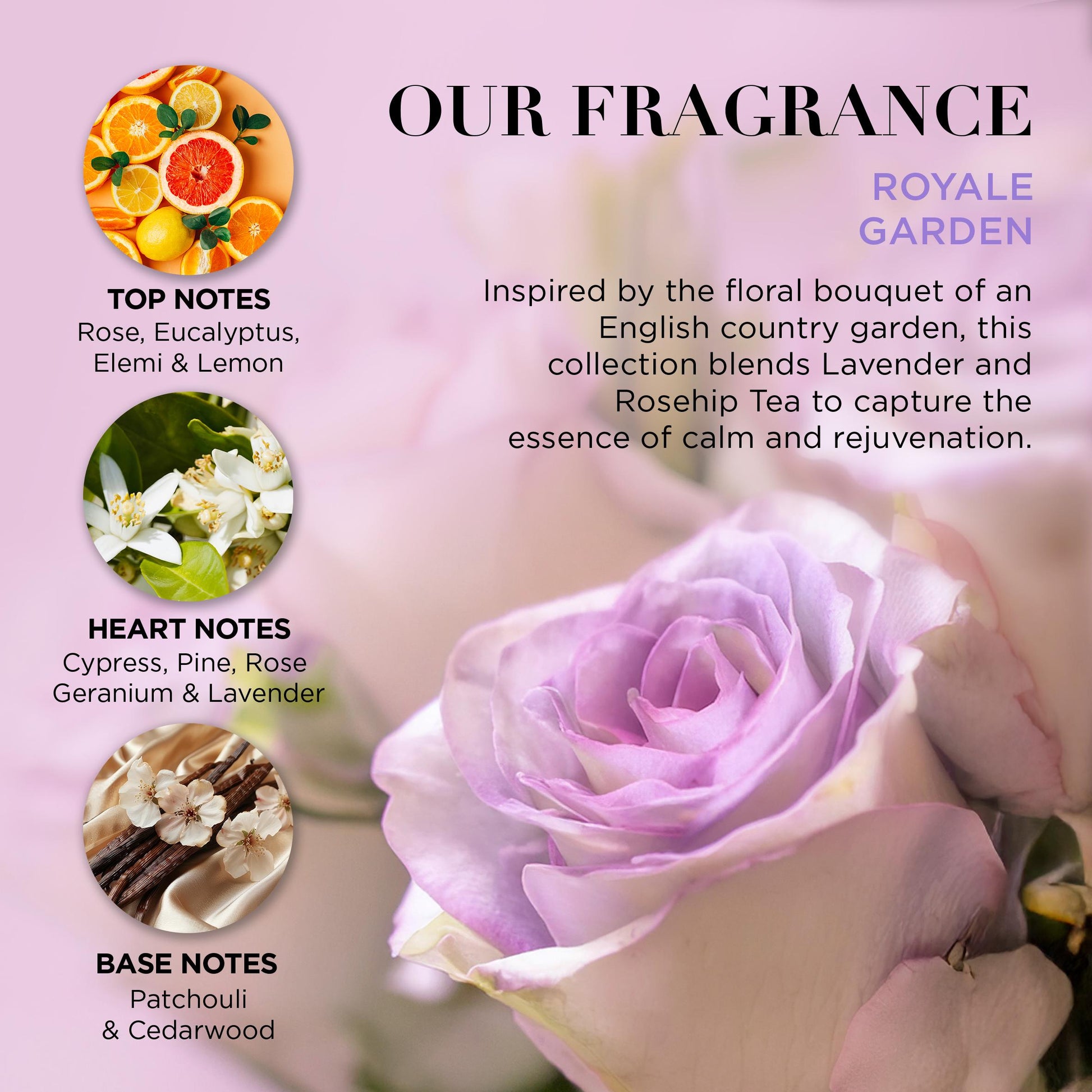 Vegan-friendly hand care gift set