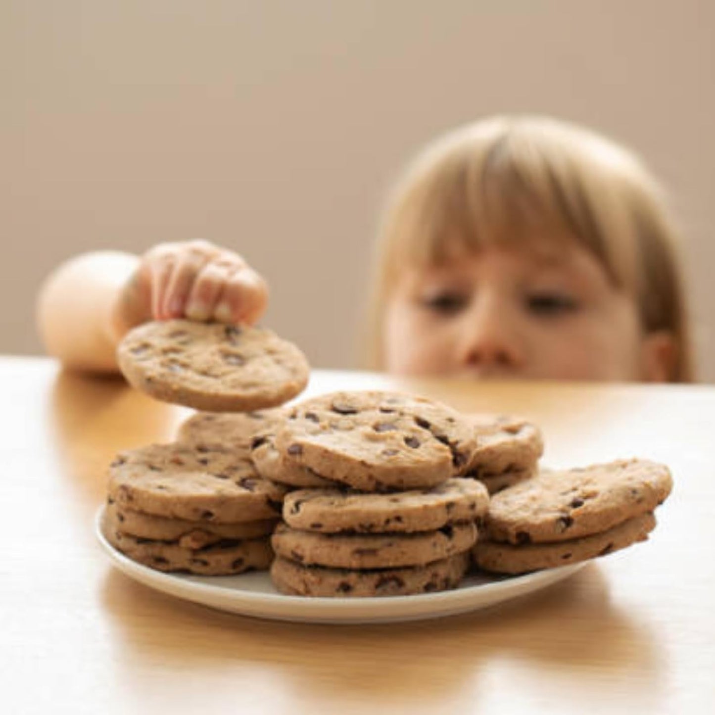 Classic Scottish biscuit selection with chocolate chip flavour