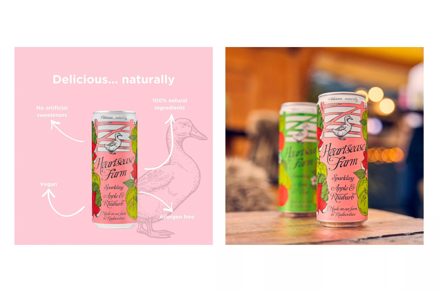 Vegetarian and vegan friendly sparkling drink