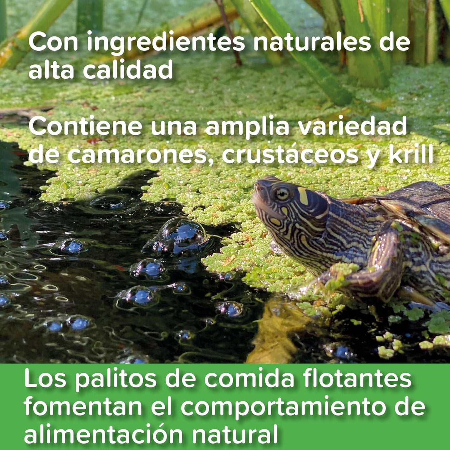 Vitamin-rich food for turtles and terrapins
