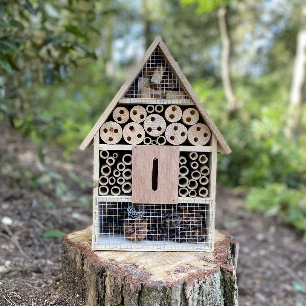Wooden insect house for butterflies, bees, and beneficial garden insects