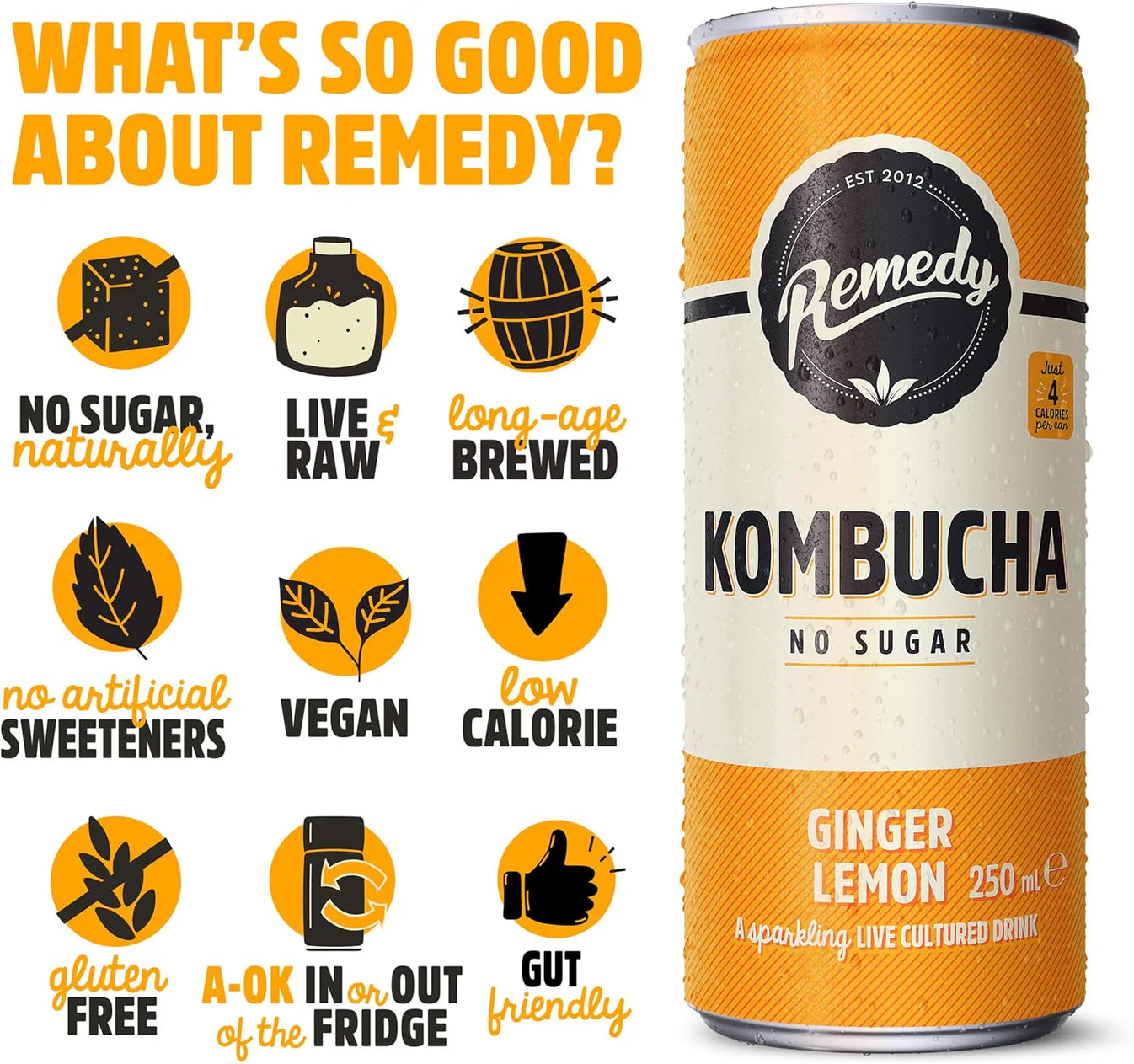 Ginger and lemon flavoured fermented tea beverage